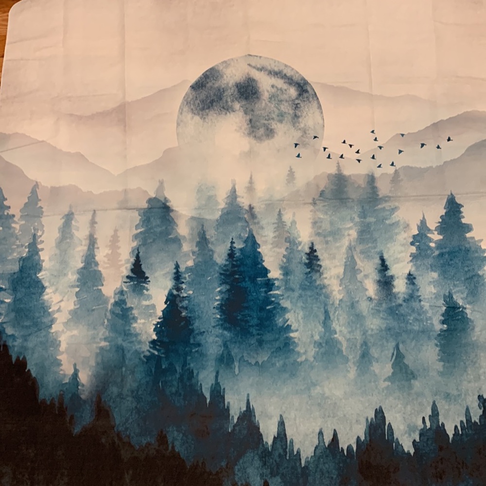 Tapestry - Picture 2 of 2